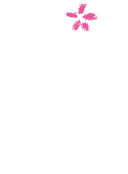 ぎゃらりー花音